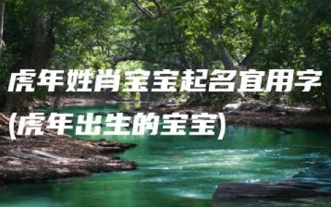 虎年姓肖宝宝起名宜用字(虎年出生的宝宝)