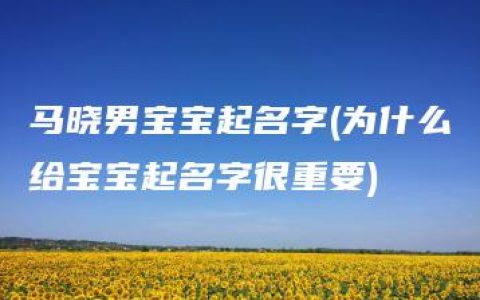 马晓男宝宝起名字(为什么给宝宝起名字很重要)