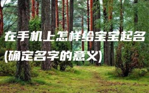 在手机上怎样给宝宝起名(确定名字的意义)