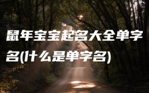 鼠年宝宝起名大全单字名(什么是单字名)