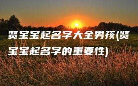 贤宝宝起名字大全男孩(贤宝宝起名字的重要性)