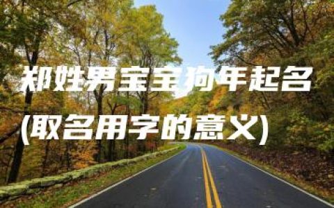 郑姓男宝宝狗年起名(取名用字的意义)