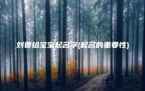 刘贾给宝宝起名字(起名的重要性)