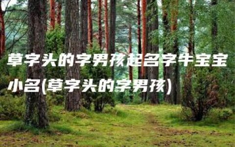 草字头的字男孩起名字牛宝宝小名(草字头的字男孩)