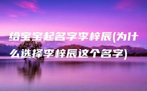 给宝宝起名字李梓辰(为什么选择李梓辰这个名字)