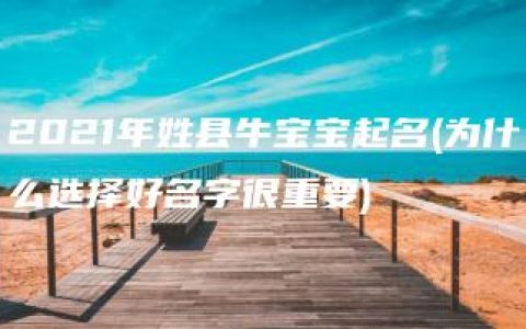 2021年姓县牛宝宝起名(为什么选择好名字很重要)