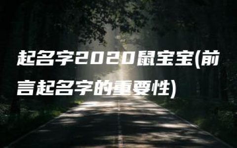 起名字2020鼠宝宝(前言起名字的重要性)