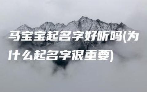 马宝宝起名字好听吗(为什么起名字很重要)