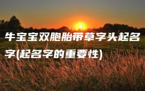 牛宝宝双胞胎带草字头起名字(起名字的重要性)