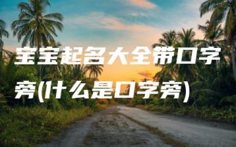 宝宝起名大全带口字旁(什么是口字旁)