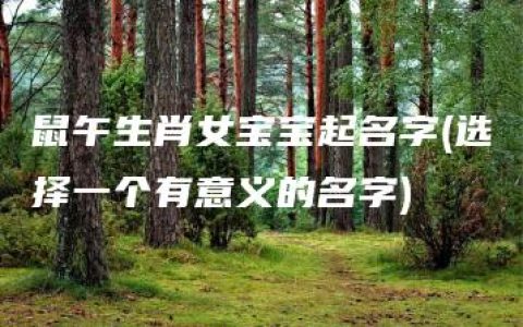 鼠午生肖女宝宝起名字(选择一个有意义的名字)