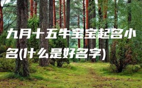 九月十五牛宝宝起名小名(什么是好名字)