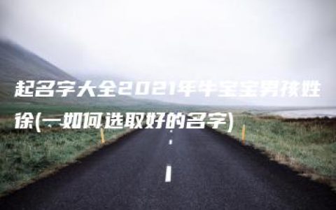 起名字大全2021年牛宝宝男孩姓徐(一如何选取好的名字)