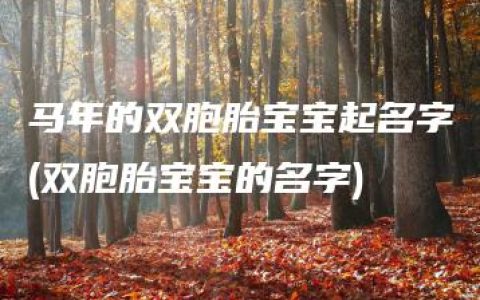 马年的双胞胎宝宝起名字(双胞胎宝宝的名字)