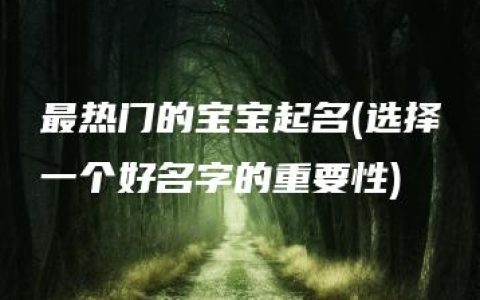 最热门的宝宝起名(选择一个好名字的重要性)