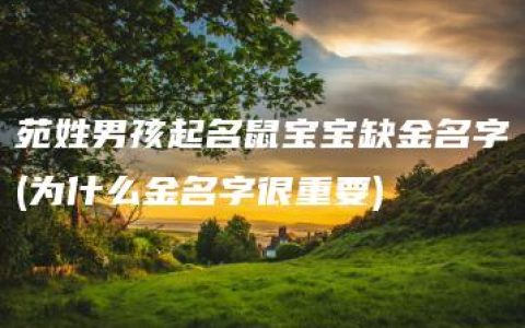 苑姓男孩起名鼠宝宝缺金名字(为什么金名字很重要)