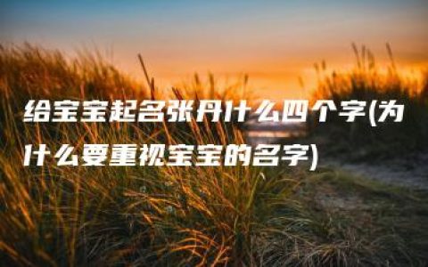 给宝宝起名张丹什么四个字(为什么要重视宝宝的名字)