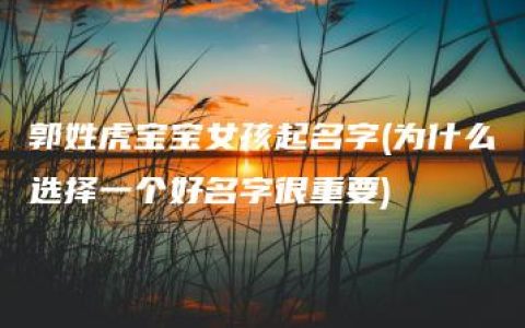 郭姓虎宝宝女孩起名字(为什么选择一个好名字很重要)