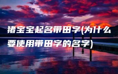 猪宝宝起名带田字(为什么要使用带田字的名字)