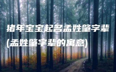 猪年宝宝起名孟姓肇字辈(孟姓肇字辈的寓意)