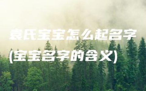 袁氏宝宝怎么起名字(宝宝名字的含义)