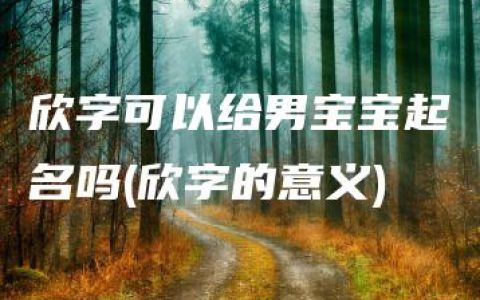 欣字可以给男宝宝起名吗(欣字的意义)