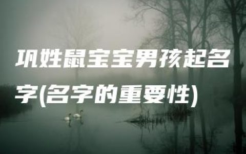 巩姓鼠宝宝男孩起名字(名字的重要性)