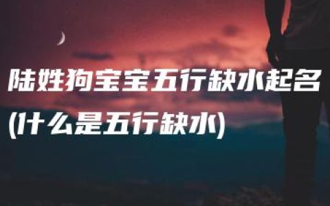 陆姓狗宝宝五行缺水起名(什么是五行缺水)