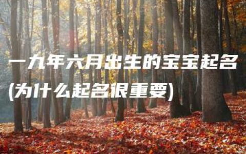 一九年六月出生的宝宝起名(为什么起名很重要)