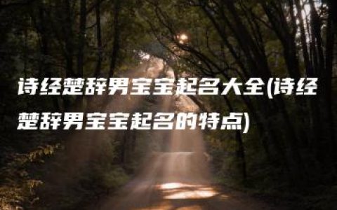 诗经楚辞男宝宝起名大全(诗经楚辞男宝宝起名的特点)