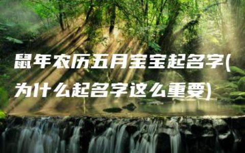 鼠年农历五月宝宝起名字(为什么起名字这么重要)