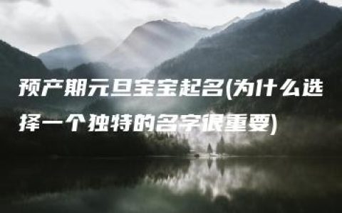 预产期元旦宝宝起名(为什么选择一个独特的名字很重要)