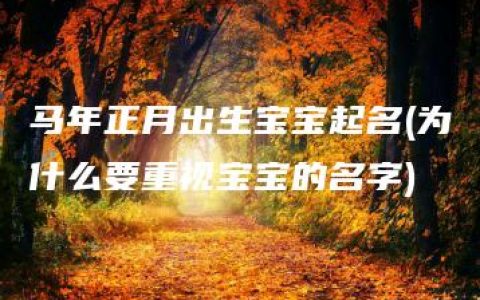 马年正月出生宝宝起名(为什么要重视宝宝的名字)