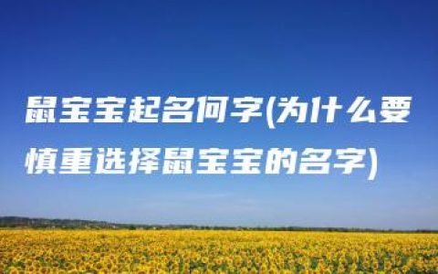 鼠宝宝起名何字(为什么要慎重选择鼠宝宝的名字)