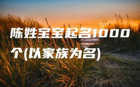 陈姓宝宝起名1000个(以家族为名)