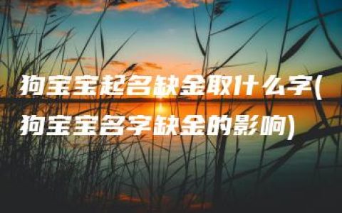 狗宝宝起名缺金取什么字(狗宝宝名字缺金的影响)