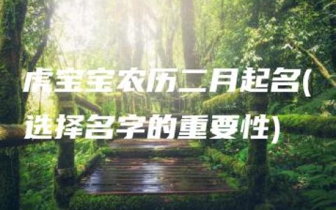 虎宝宝农历二月起名(选择名字的重要性)