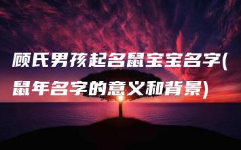 顾氏男孩起名鼠宝宝名字(鼠年名字的意义和背景)