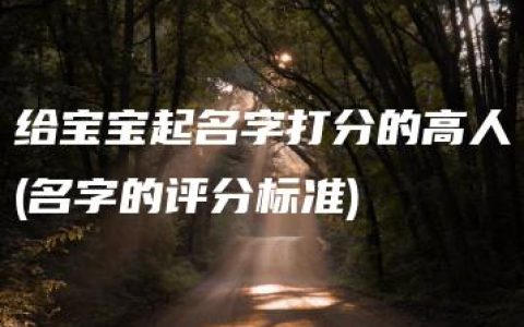 给宝宝起名字打分的高人(名字的评分标准)