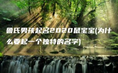 鲁氏男孩起名2020鼠宝宝(为什么要起一个独特的名字)