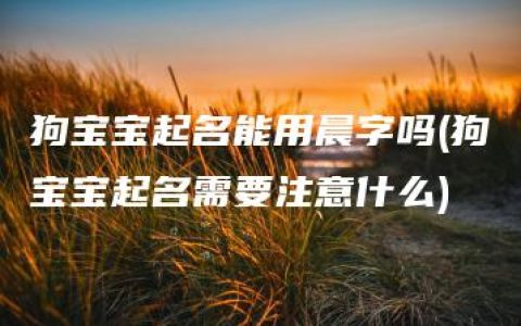 狗宝宝起名能用晨字吗(狗宝宝起名需要注意什么)