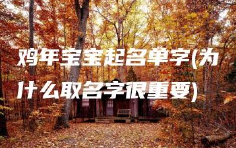 鸡年宝宝起名单字(为什么取名字很重要)