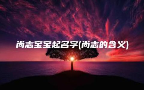 尚志宝宝起名字(尚志的含义)