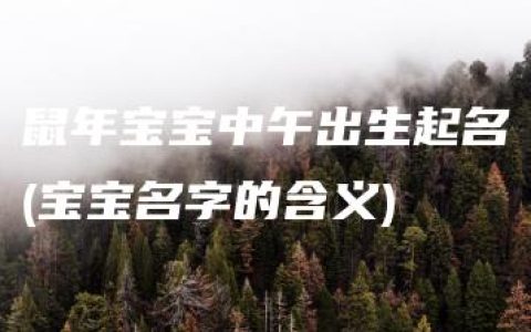 鼠年宝宝中午出生起名(宝宝名字的含义)