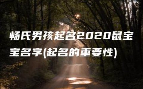 畅氏男孩起名2020鼠宝宝名字(起名的重要性)