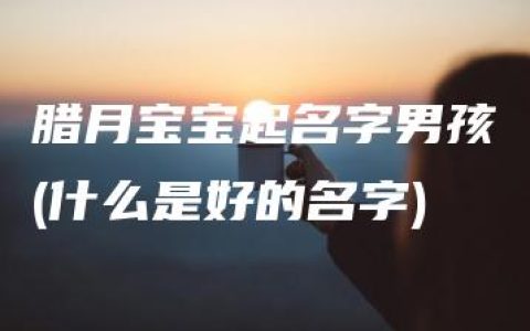 腊月宝宝起名字男孩(什么是好的名字)