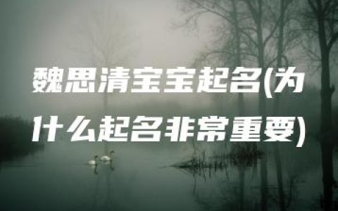 魏思清宝宝起名(为什么起名非常重要)