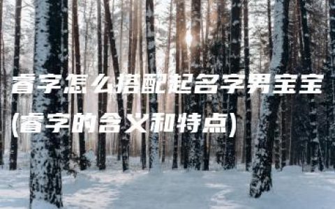 睿字怎么搭配起名字男宝宝(睿字的含义和特点)