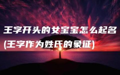 王字开头的女宝宝怎么起名(王字作为姓氏的象征)