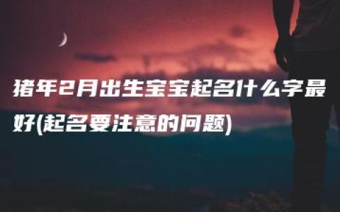 猪年2月出生宝宝起名什么字最好(起名要注意的问题)